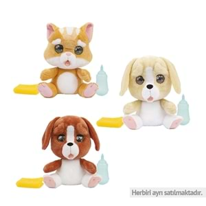 Emotion Pets Evcil Hayvanlar ( Net )