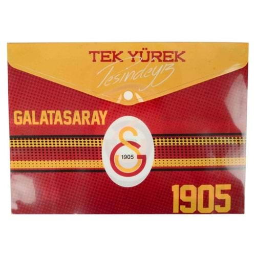 Galatasaray Çıtçıtlı Dosya Dos-1905 (12X20)X20